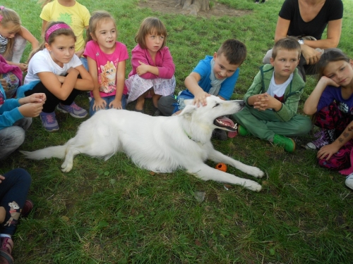 Canisterapia v ŠKD