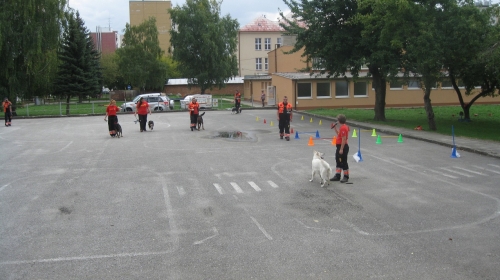 Canisterapia v ŠKD